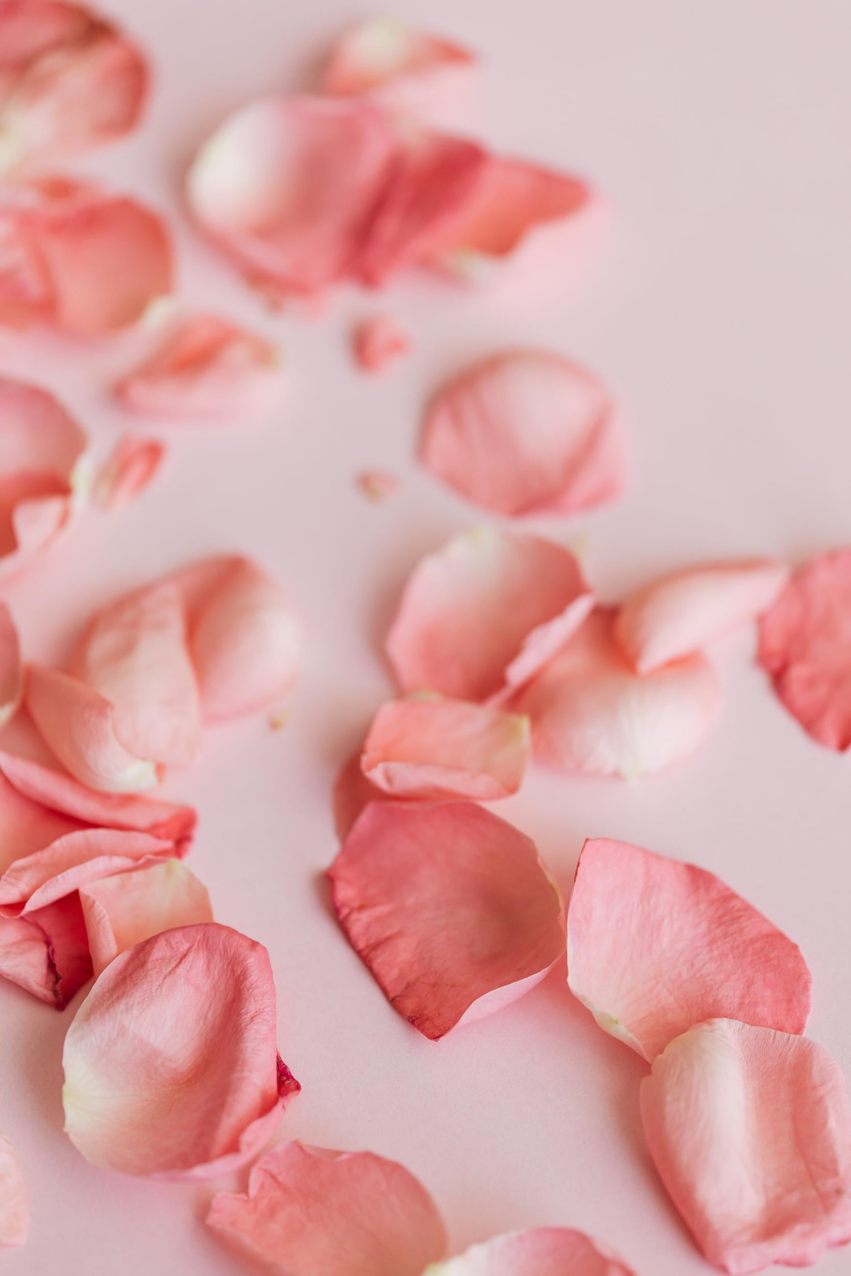 8 romantiske tekster til valentinskortet